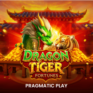 Dragon Tiger Fortunes game screenshot